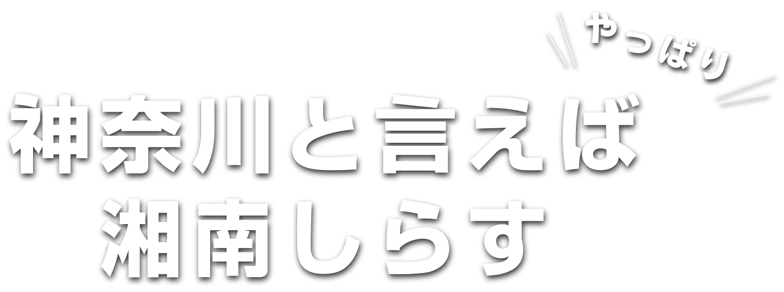 神奈川と言えばやっぱり湘南しらす